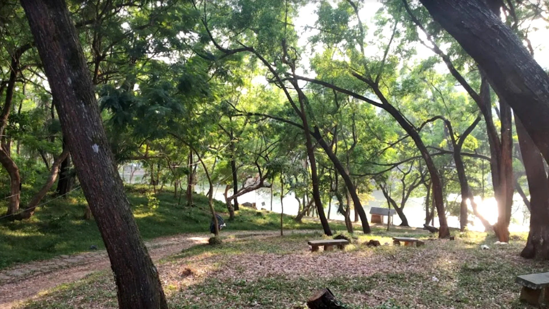 Loukoipat Ecological Park