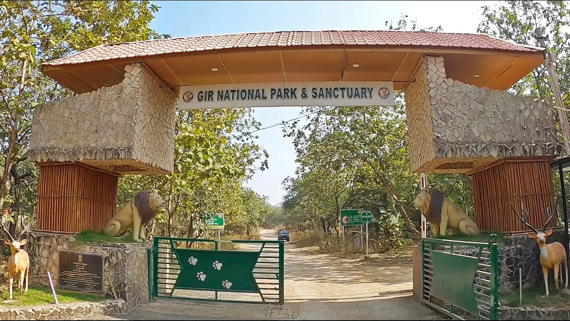 Gir National Park