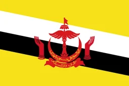 Brunei flag